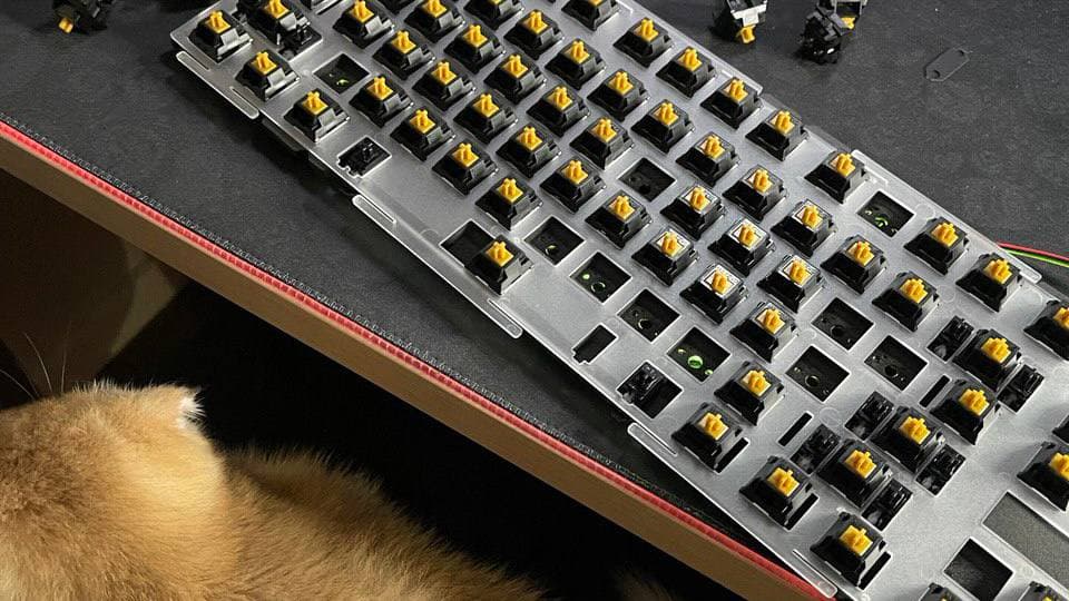 Photo of my custom keyboard and ma kitten